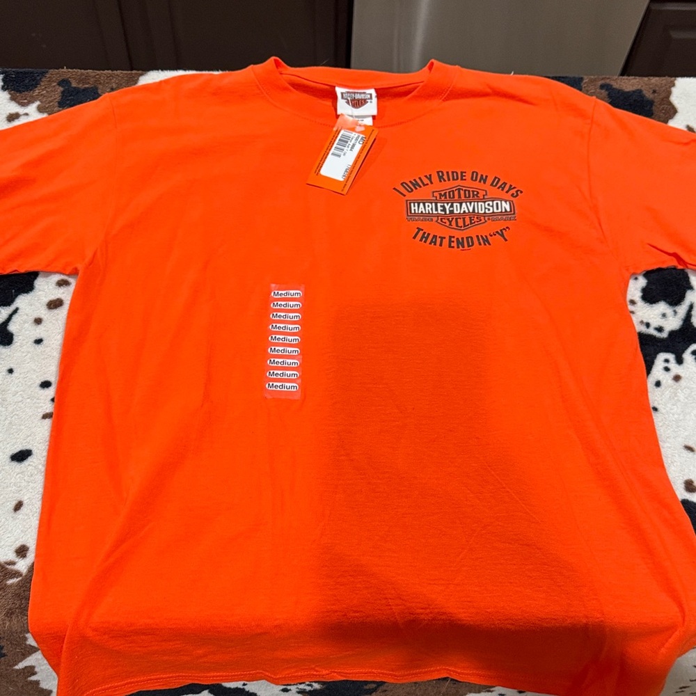 HARLEY DAVIDSON Battlefield Gettysburg PA 2001 RARE T-shirt